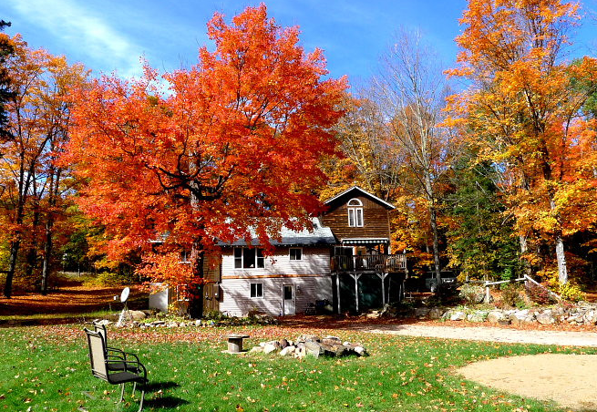生命浪费在美好的事物上