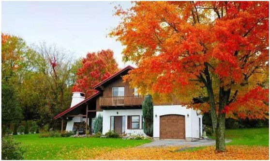 移民福音|加拿大小目标：加国人口达1个亿！