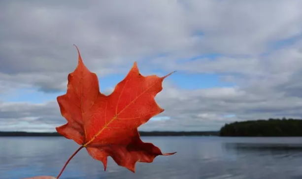 了解魁北克PEQ移民