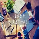 为什么出国留学？这是我见到的最好答案