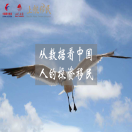 通过数字，看中国人的投资移民