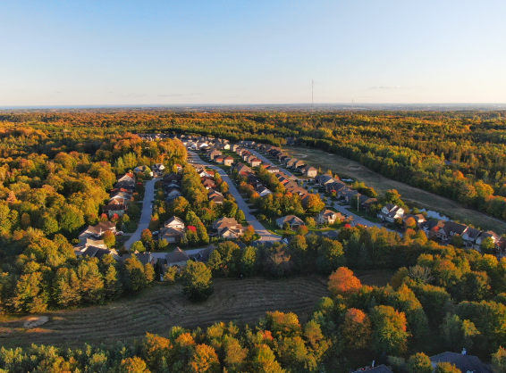 哪些职业适合移民加拿大？