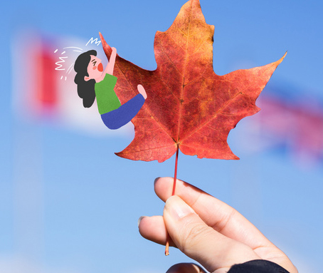 移民加拿大|看看5月加拿大各省PNP表现情况