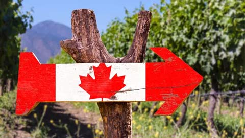 上网课有时差？看加拿大怎么帮留学生解决问题