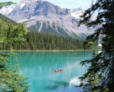 IRCC悄悄改规则：2026年移民加拿大必须关注的3个政策转向