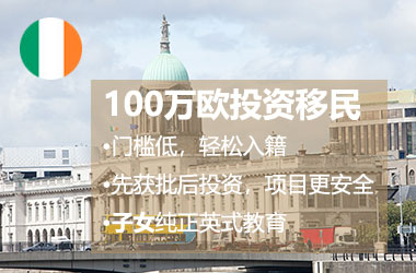 爱尔兰移民.jpg